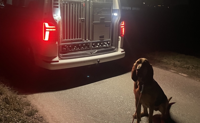 Bündner Polizei schnappt zwei junge Autodiebe