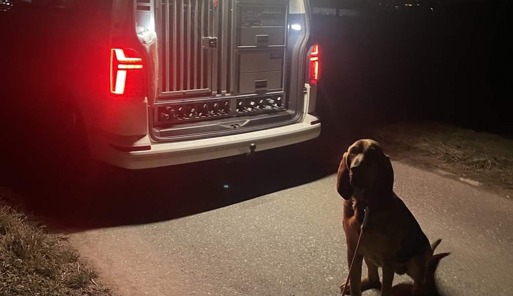 Bündner Polizei schnappt zwei junge Autodiebe