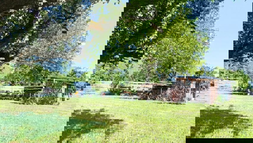  Der Fragebogen sorgt für Ärger bei den Kleinpflanzern. 