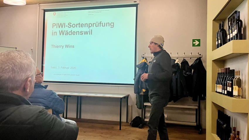 Zukunft im Glas: Thierry Wins (Agroscope) präsentiert neue PIWI-Rebsorten aus der Pflanzenzüchtung.