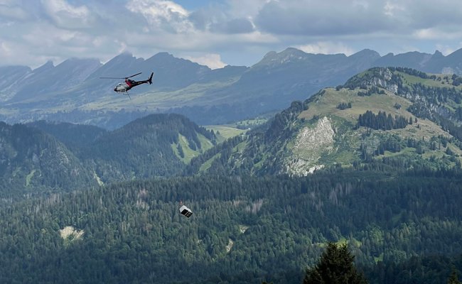 Wasser per Helikopter: Hitze setzt Ostschweizer Älplerinnen und Älpler unter Druck