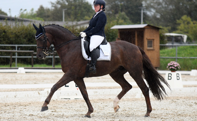 Dressurreiterinnen strahlten trotz Regen