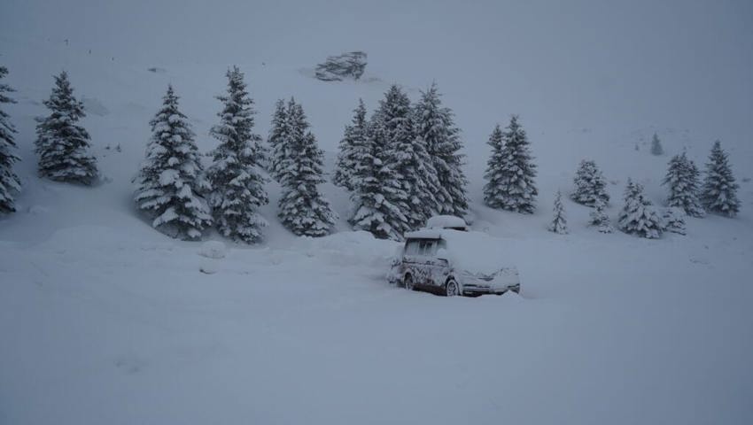  Eingeschneit, hier: Popova Sapka, Šar Planina, Nordmazedonien.