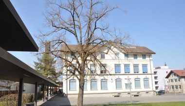 Zustand hat sich verschlechtert: Nun wird die beschädigte Linde ersetzt