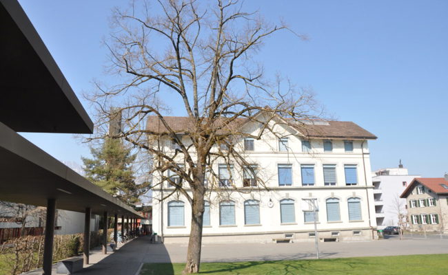 Zustand hat sich verschlechtert: Nun wird die beschädigte Linde ersetzt