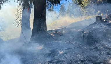 Es schwelte im Boden: Feuerwehr musste zu Waldbrand ausrücken
