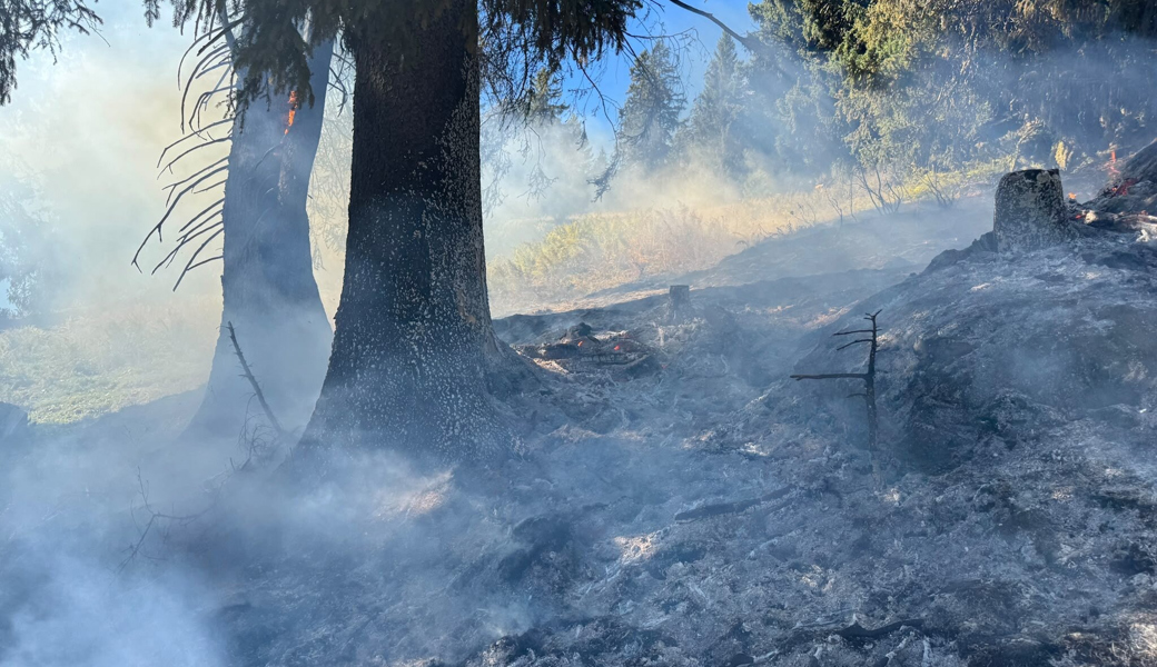 Es schwelte im Boden: Feuerwehr musste zu Waldbrand ausrücken