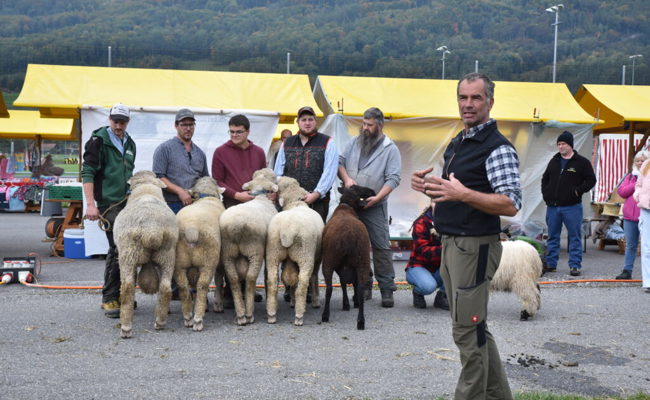 Gitzi, Schafe, regionale Produkte und lokale Musik – diese Kombination passt