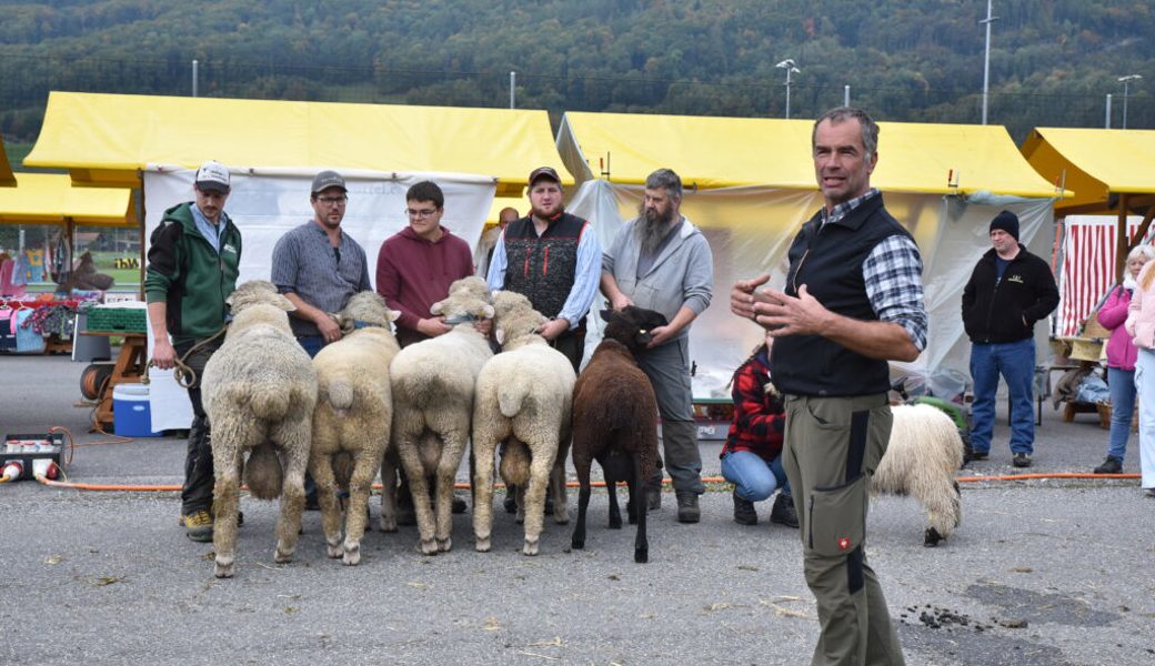  Der Experte bewertete die Tiere, bevor er den Mister-Titel vergab. 