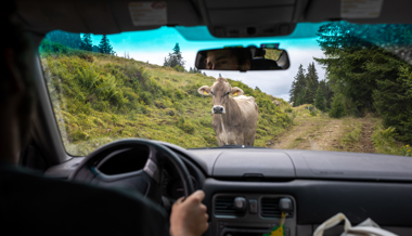 «Geflohenes» Alppersonal wehrt sich gegen Kritik