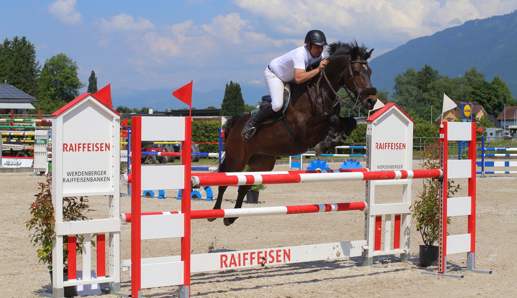 An drei Tagen zeigen Reitende und Pferde auf der Anlage Werdenberg ihr Können.