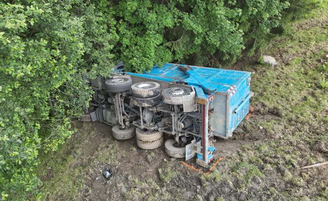 Lastwagen kommt von Strasse ab und landet in Wald
