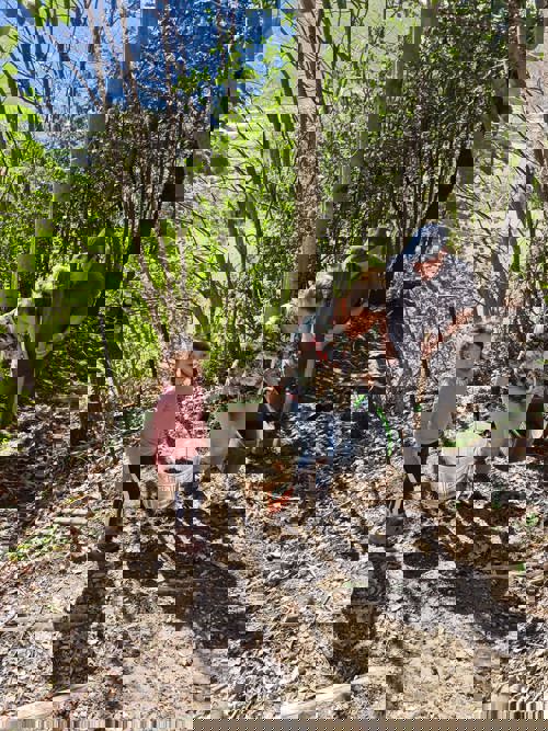 Im Wald wurde ein Weg erneuert.