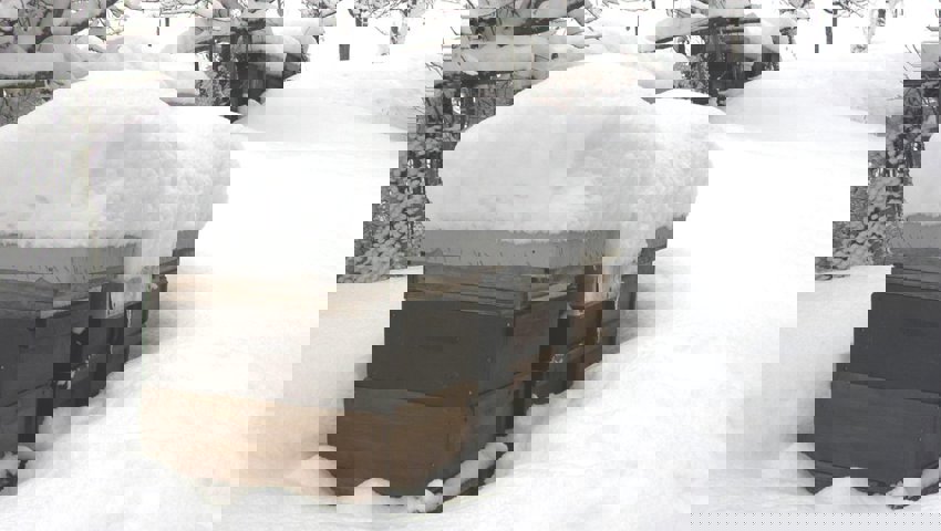  Bienenvölker in Winterruhe, mit genug Futter ertragen sie Schnee und Kälte problemlos. 