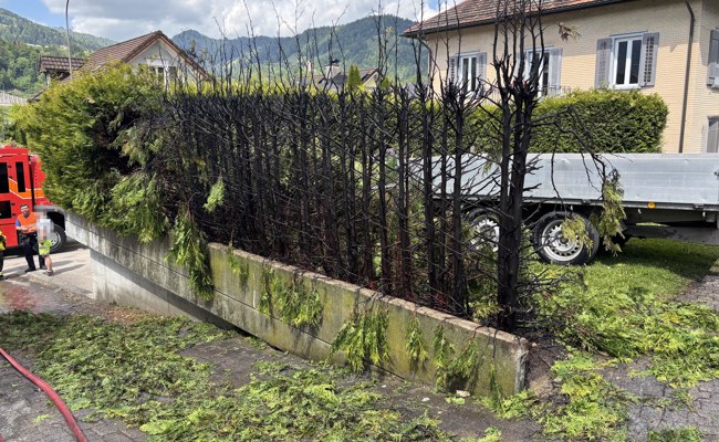 Beim Unkrautabfackeln Hecke in Brand gesetzt