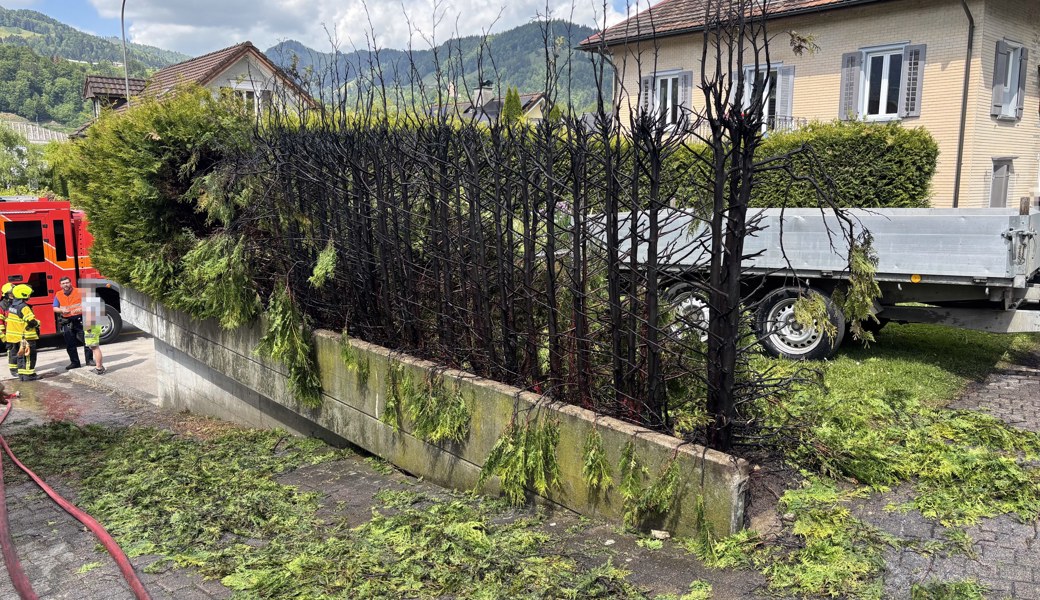 Die Thujen brannten wie Zunder.