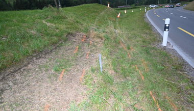 86-jährigem Mann wurde Ausweis entzogen, weil er fahrunfähig verunfallte