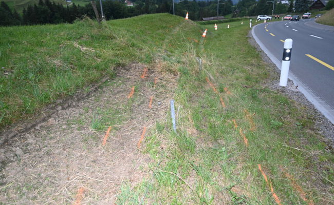 86-jährigem Mann wurde Ausweis entzogen, weil er fahrunfähig verunfallte