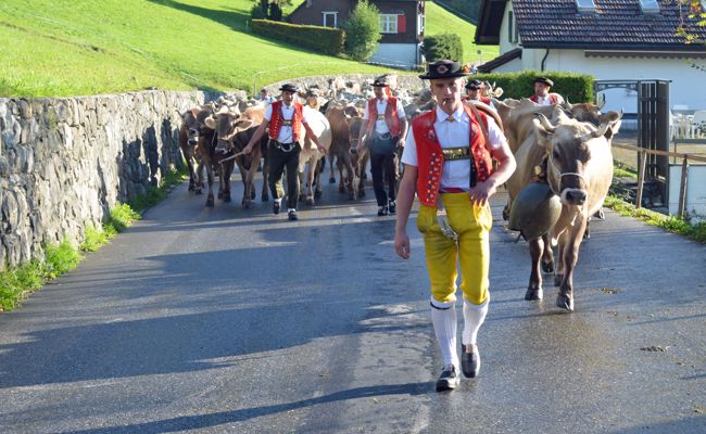 Emira und ihr Einzug ins Chuchitobel
