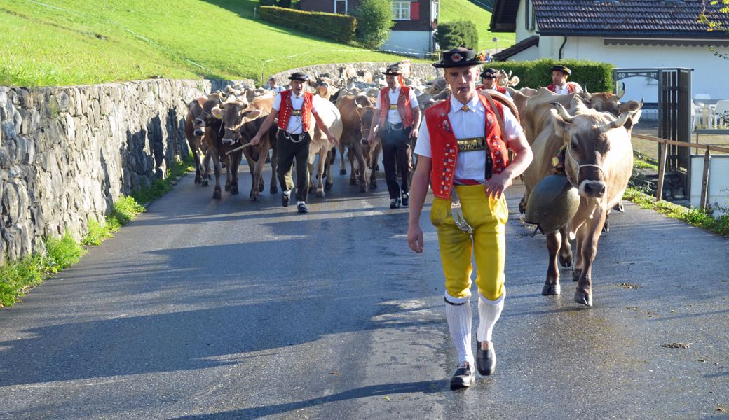 Emira und ihr Einzug ins Chuchitobel