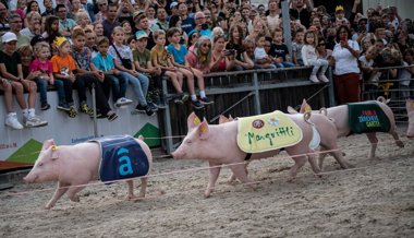 Nach Bundesgerichtsurteil zum Olma-Säulirennen: Wie aus einem unschuldigen Anlass ein Fall für die Justiz wurde