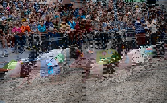 Nach Bundesgerichtsurteil zum Olma-Säulirennen: Wie aus einem unschuldigen Anlass ein Fall für die Justiz wurde