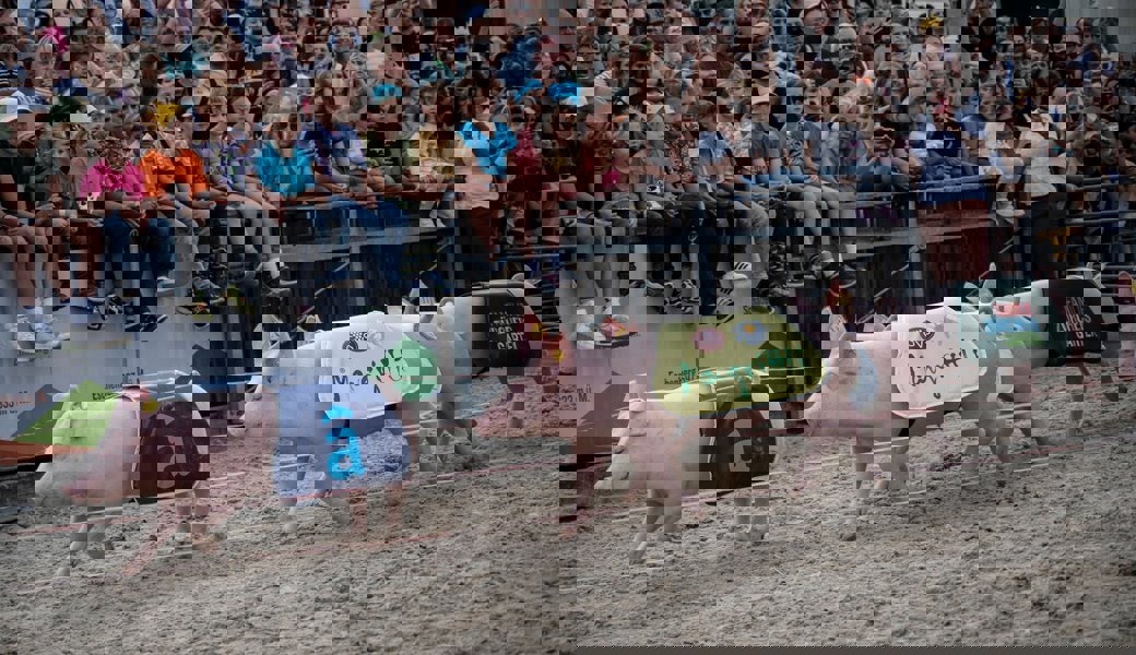 Die Säuli rennen auch dieses Jahr wieder um die Wette. Dass dieser Wettkampf zu einem Fall für das Bundesgericht wurde, hätte wohl niemand erwartet.