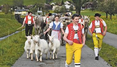 Jahresrückblick Teil 4: Erfreuliches und Unerfreuliches hielt die Region auf Trab