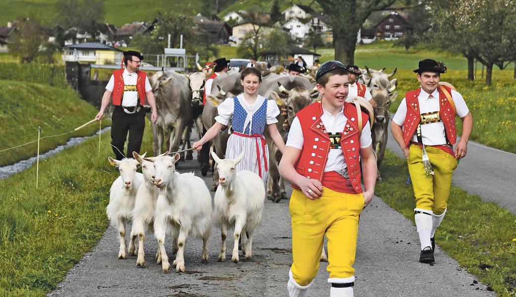 22. April: Mit einer Jubiläumsviehschau in Salez feiern der Viehzuchtverein Werdenberg Nord sein 125-jähriges und der Viehzuchtverein Sax sein 75-jähriges Bestehen.