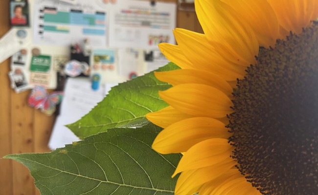 Kinderkram: Das letzte erste Mal