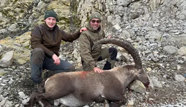 Zwischen Nebel, Nervosität und steilen Felswänden: Auf Steinbock-Jagd