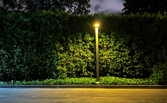 Raub, schwere Körperverletzung, Vergewaltigung – ein Jugendlicher in der Abwärtsspirale