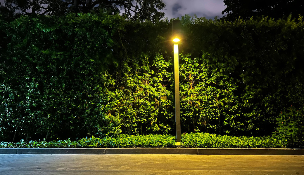 Im Gebüsch eines Parks hat der damals 16-Jährige eine Gleichaltrige vergewaltigt.