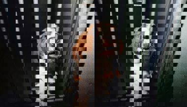 Tierschutzanliegen haben es erfahrungsgemäss schwer in der W&O-Region