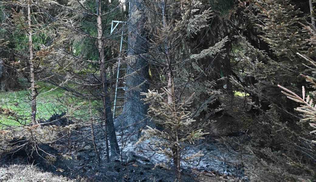 Hochsitz brannte – fahrlässige oder vorsätzliche Brandverursachung?