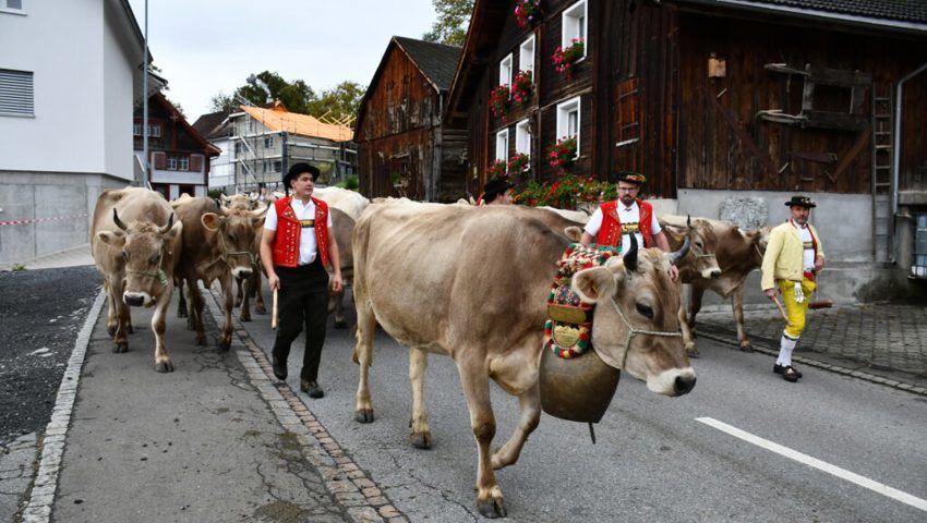  Bald ist der Aufführplatz erreicht.