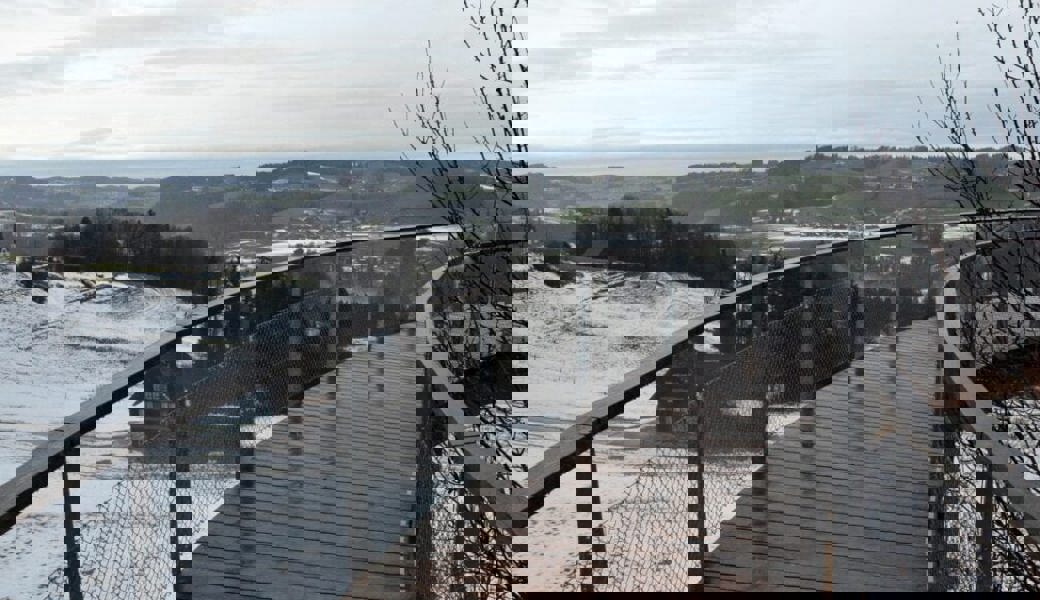  Auch bei weniger schönem Wetter ist der Baumwipfelpfad Neckertal einen Ausflug wert. 