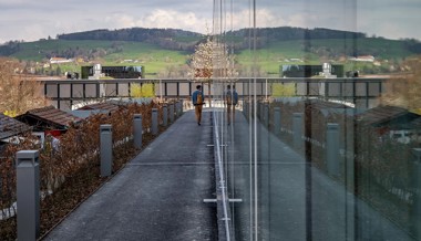 HSG begrenzt Studierendenzahlen und verärgert BWL-Studenten