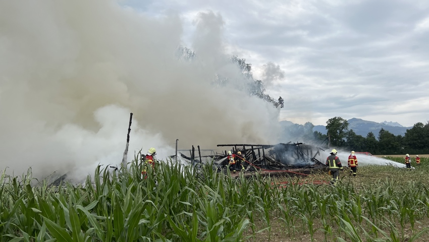 Tiere befanden sich glücklicherweise keine im Stall.
