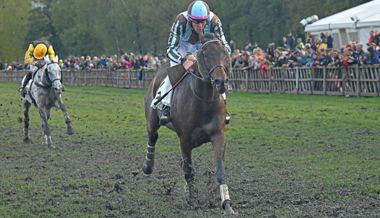 Spektakel im Sumpf: Auf und davon im Endspurt