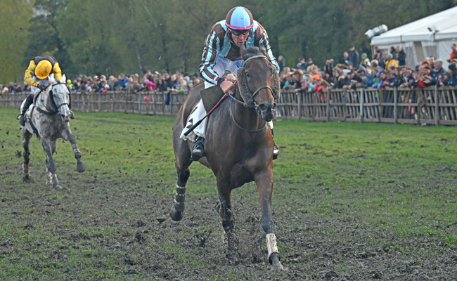 Spektakel im Sumpf: Auf und davon im Endspurt