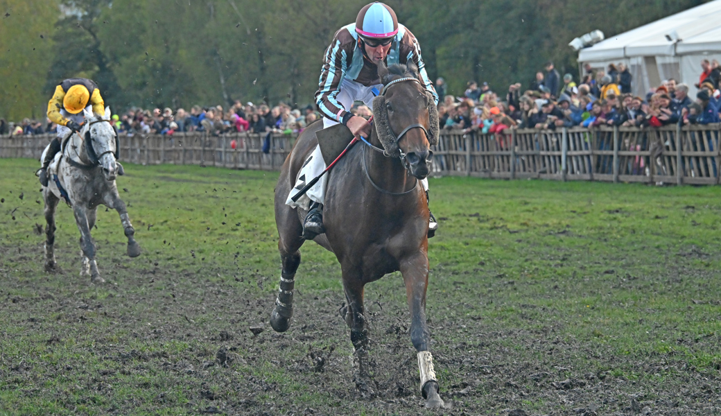 Der Einlauf im Grossen Preis des Cross-Clubs Maienfeld: Al Cuarto liess Mitfavorit Fou de Reve nach dem drittletzten Hindernis stehen und siegte mit sieben Längen Vorsprung.