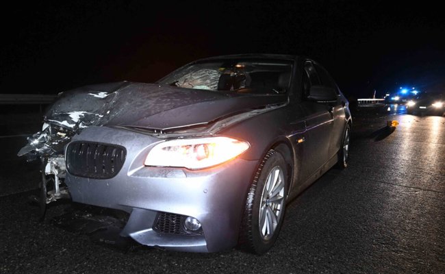 Trotz einer Vollbremsung auf der Autobahn A13: Reh wird bei einem Unfall getötet