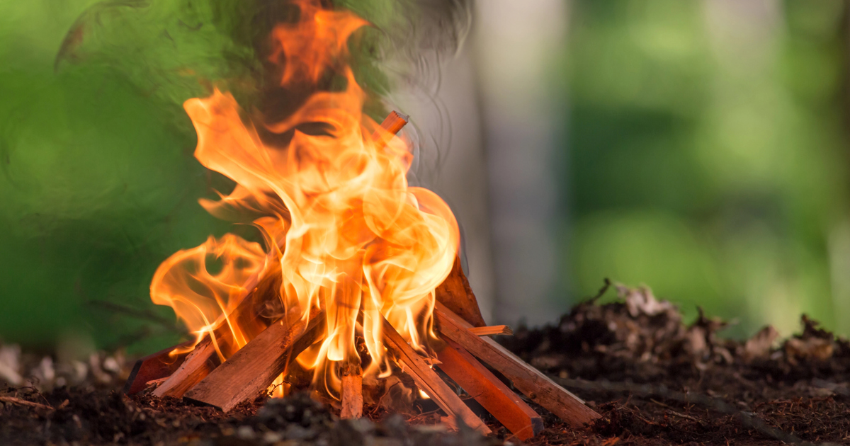 Police penalize violations of the fire ban