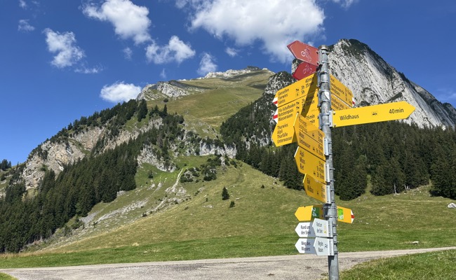 Alp Tesel produziert ihren Käse bald auf der Alp Gamplüt