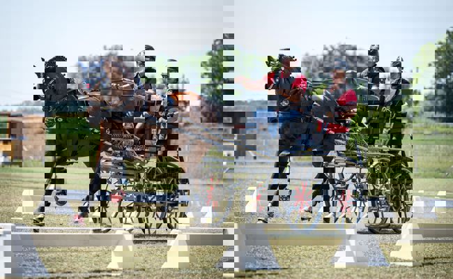 Leo Risch gewinnt Bronze an WM der jungen Pferde