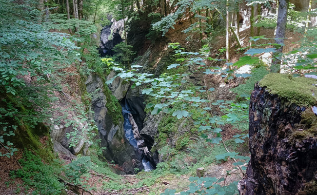 Ausflugstipp: Schattige Schlucht, steiler Aufstieg – Wanderung durch die Taminaschlucht