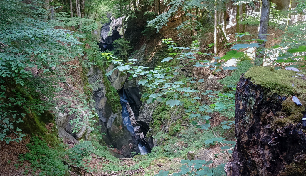 Ausflugstipp: Schattige Schlucht, steiler Aufstieg – Wanderung durch die Taminaschlucht