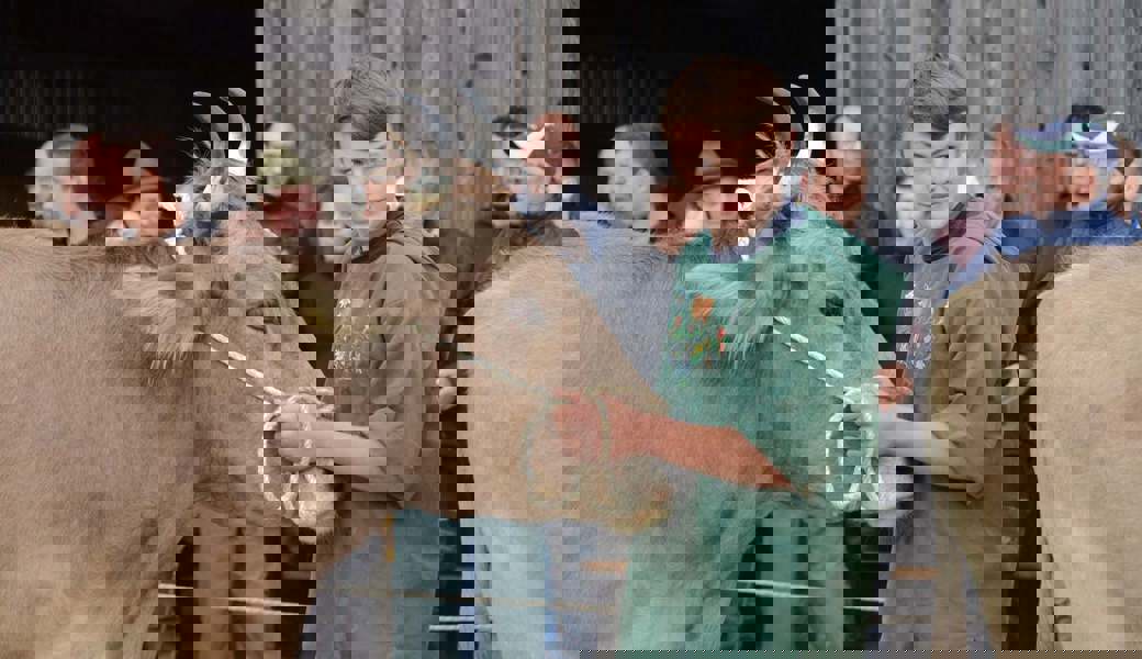 Zahlreiche Zuschauer verfolgten das Geschehen im Präsentationsring. 