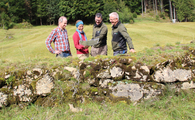 Ein historischer Bergsturz förderte die Artenvielfalt